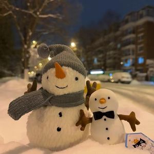 结冰（DJ富妹Remix）