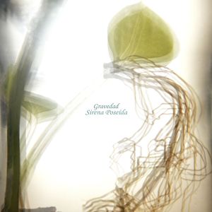 Gravedad