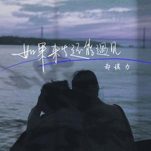 如果来生还能遇见（郝琪力版伴奏）