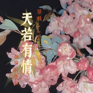 天若有情(温柔版)