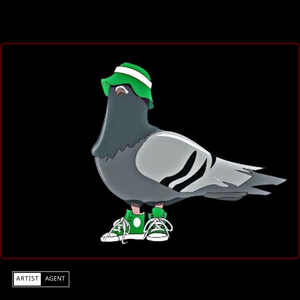 Pigeon