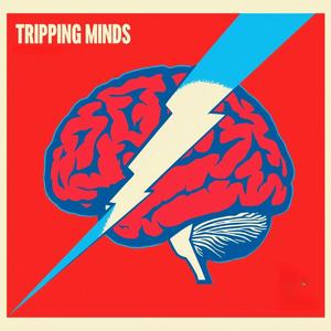 Tripping Minds