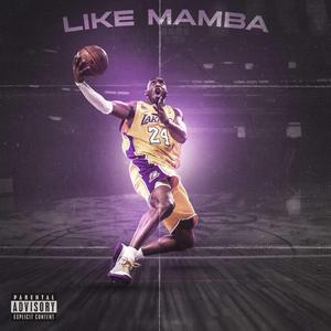 Like Mamba