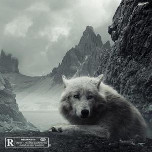 Sleepless Nightzzz!+