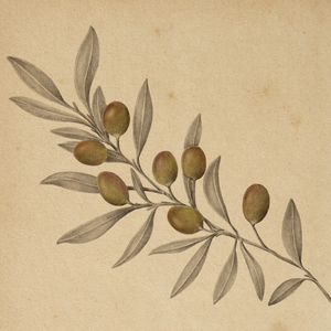 Nostos (Dark Version)