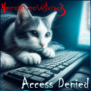 Access Denied
