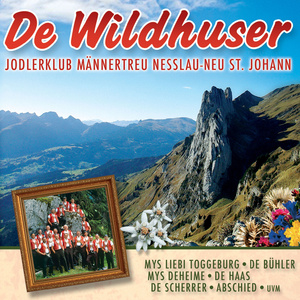 De Wildhuser
