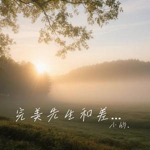 完美先生和差不多小姐 (Cover 花粥)