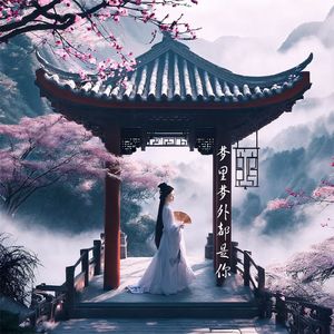 梦里梦外都是你（女声柔情版） 伴奏