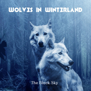Wolves in Winterland - Cyberspace