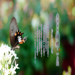 人生若只如初见 (加长版)