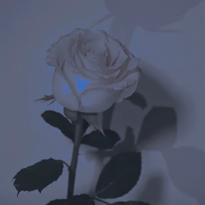 你有没有看透罗生门#吉他旋律#