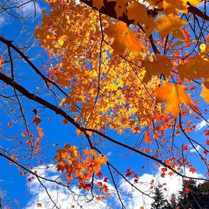 秋（prod by Lisure）