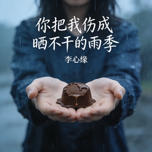 你把我伤成晒不干的雨季