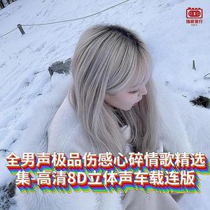 DJ国飞-全男声极品伤感心碎情歌精选集-高清8D立体声车载连版（DJ国飞 remix）