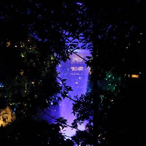 浪漫主义小黄歌（翻自 姜云升）