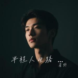 半程人生路 (烟嗓版)