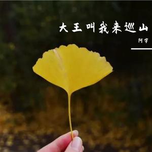 大王叫我来巡山