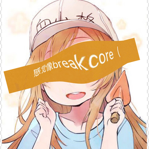 这 才 叫 B R E A K C O R E