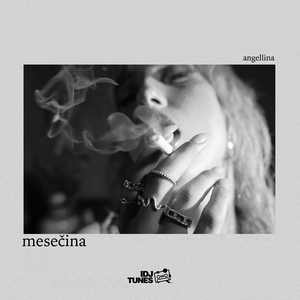 Mesecina