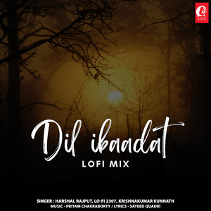 Dil Ibaadat Lofi Mix