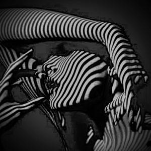Comtesse