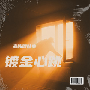 镀金心跳-老韩很哇塞