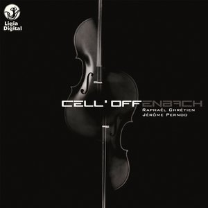 Duo for Cellos in B Minor, Op. 51 No. 2: III. Allegretto
