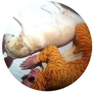 À l'ancienne on l'appelait papy