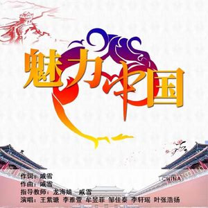 魅力中国