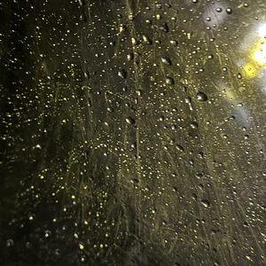 淋雨哪有不湿身.wav