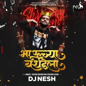 Bhauchya Birthdayla (feat. ShreeMan LegenD)