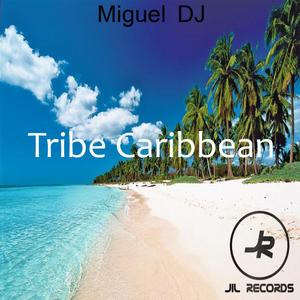 Tribe Caribbean (Original Mix)