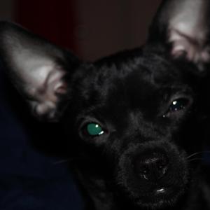 Deciet (feat. Cyn & Dominac)