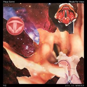 Echo Cry Loop / Broken Tape Chants