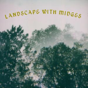 Landscape with Midges (feat. Zyggurat) (Remix)