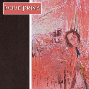 Niets Is Wat Het Lijkt