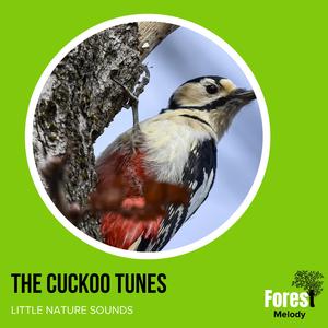 Massive Rattle Snake