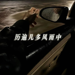 历遍几多风雨中