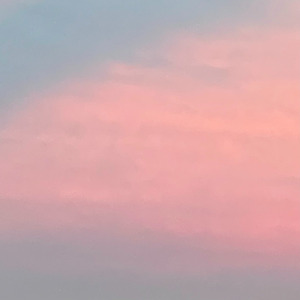 ハニースウィート