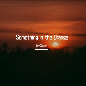 Something in the Orange