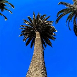 We Don't Talk Anymore（蛙仔专属)