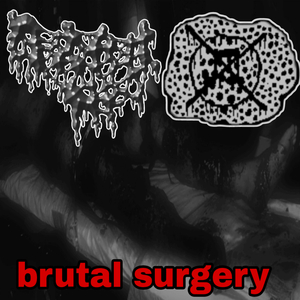 Brutal Bestiality Horse ****ing Cannibalism Coprophagia Orgy