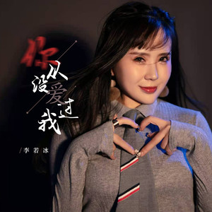 你从没爱过我 (DJ可乐版)