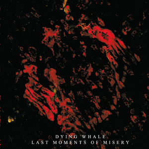 One Final First Kiss