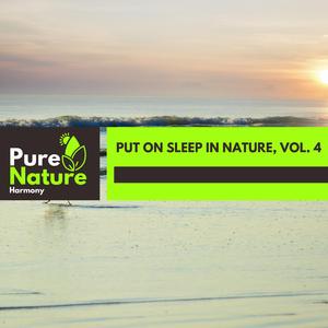 November Nights at Ocean Waves