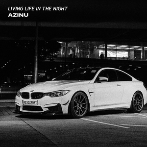 Living Life, in the Night