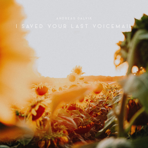 I Saved Your Last Voicemail
