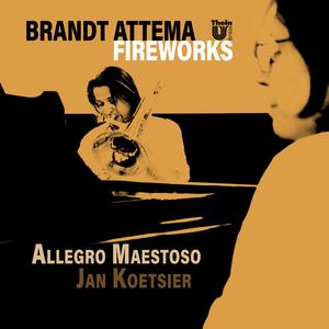 Allegro Maestoso (feat. Andrea Vasi & Jan Koetsier)
