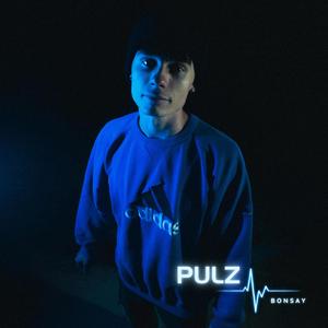 Pulz